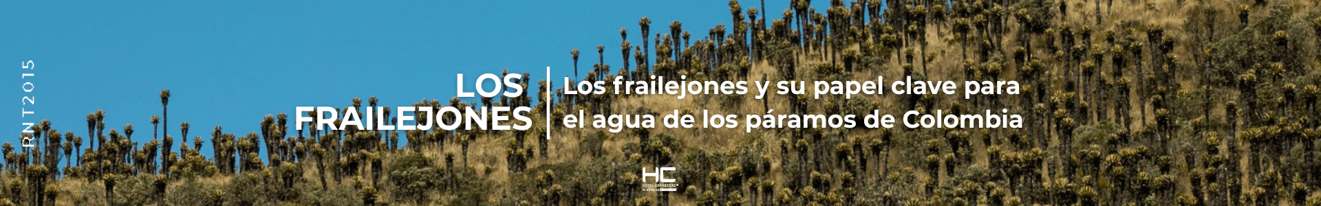 Los frailejones