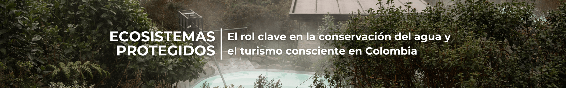 Ecosistemas protegidos: el rol clave en la conservación del agua y el turismo consciente en Colombia
