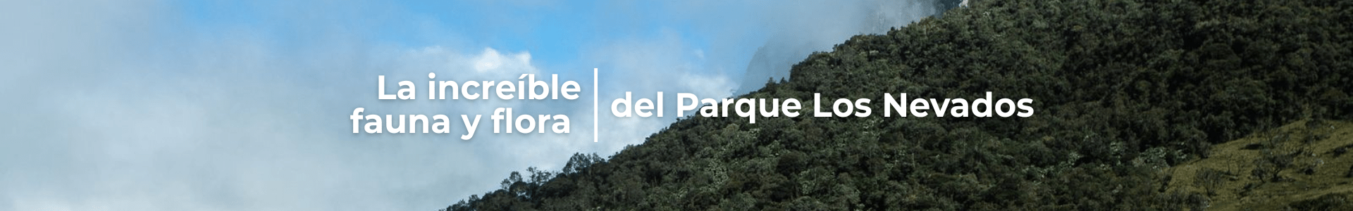 La increíble fauna y flora del Parque Los Nevados