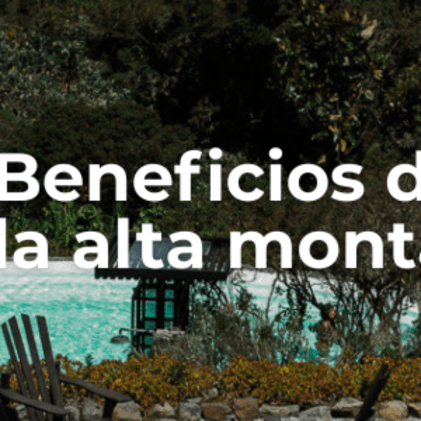 bienestar físico y mental