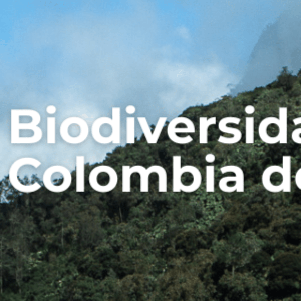 Medio ambiente