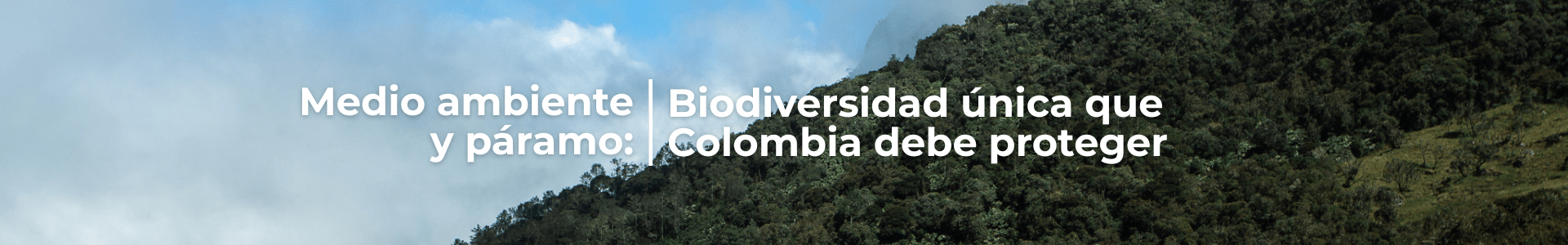 Medio ambiente