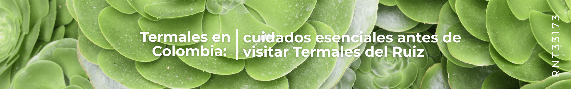 Termales en Colombia